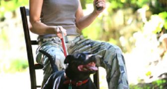 Guns and Dogs for Home Defense