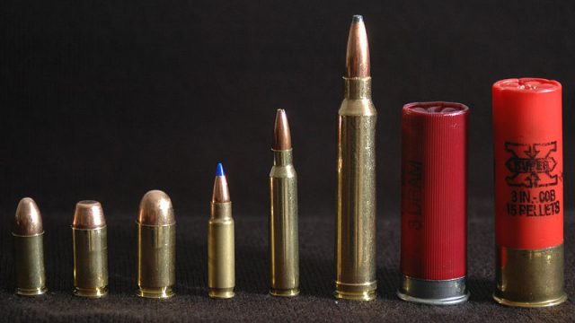 home defense ammunition